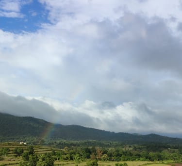 best resort in kerala