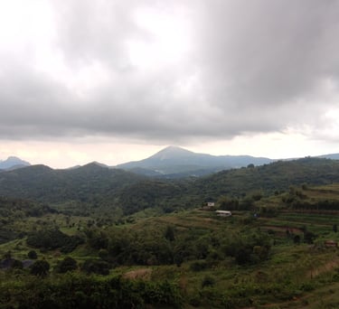 best resort in kerala