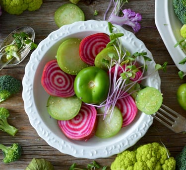 e-book sur graines germées et recettes