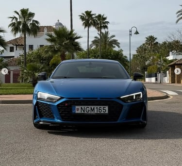 Front view of a blue Audi R8 supercar parked on a tropical street with palm trees and white villas.