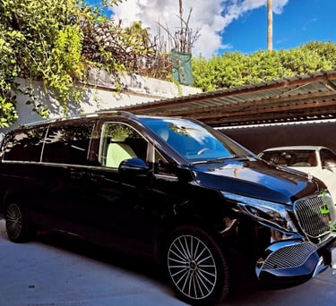 Luxury black Mercedes-Benz V-Class van parked in a driveway under a carport.