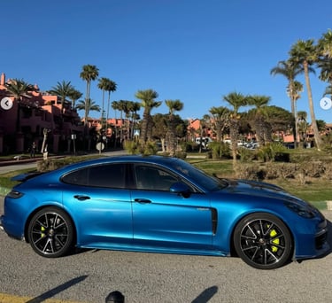 A blue Porsche Panamera luxury sedan parked on a sunny street lined with tropical palm trees.