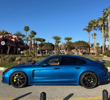 Side profile of a blue Porsche Panamera Turbo S luxury sedan parked on a sunny street with palm trees.