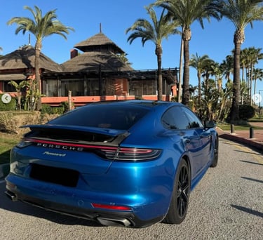 Blue Porsche Panamera 4 luxury sedan parked on a sunny road lined with tropical palm trees.