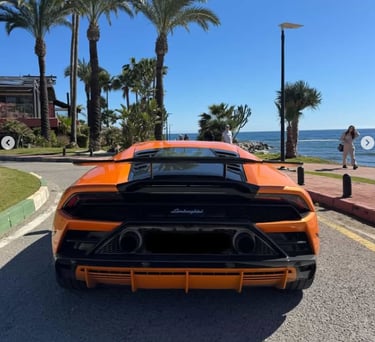 Rear view of an orange Lamborghini Huracan parked on a coastal road with palm trees and ocean.