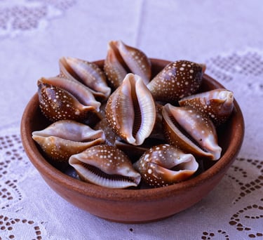 Still life photography of a bowl of traditional African-Brazilian cowrie shells (búzios) used for divination, resting on a white lace tablecloth with soft purple lighting.