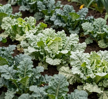 Close-up of a vibrant vegetable garden in Huila, Colombia, part of a productive project for seniors, lush green foliage, muted green and light sage tones.