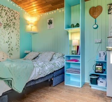 Cozy studio cabin interior featuring a double bed, mint green walls, and blue shelving unit.
