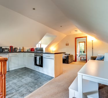 Modern open-plan studio apartment kitchen and dining area with sloped ceilings and white cabinets.