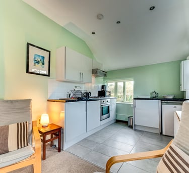 Modern studio apartment interior with a compact kitchen, white cabinets, and green walls.