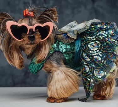 Un adorable Yorkshire Terrier con gafas de sol rosas en forma de corazón y un vestido de lentejuela
