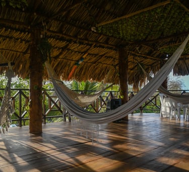 Hamacas