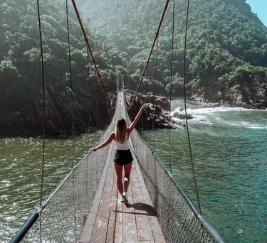 The bridge of Tsitsikamma national park