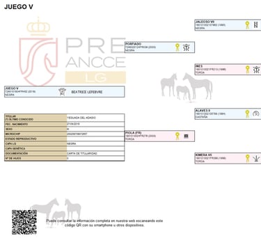 Fiche généalogique JUEGO