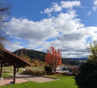 Jardin avec terrain de pétanque et coin repas sous le auvent