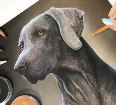 a drawing of a weimaraner dog