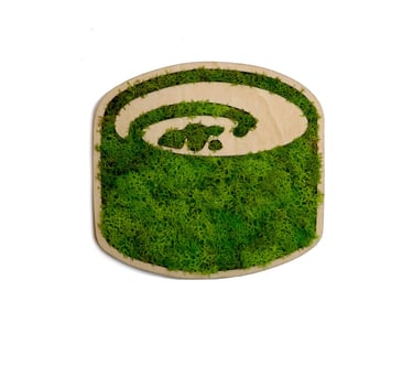 a green grass covered in mossel and mossel