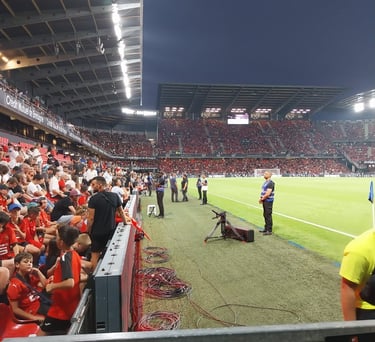 Stadier à Rennes meilleur agent SEyf sécurité  formé