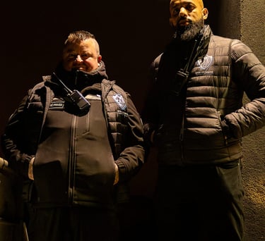 équipes sécurités pour grand événement grande taille concert et sport