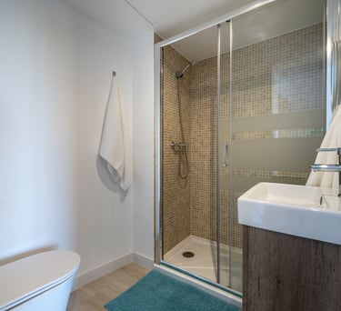 a bathroom with a shower and a toilet