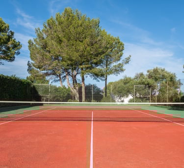 a tennis court with a net 