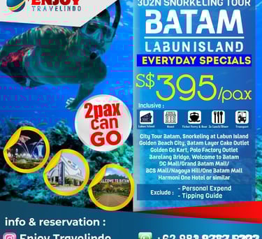 tour operator for snorkeling, tour batam, enjoy batam, sea sport batam, cheap tour, private tour