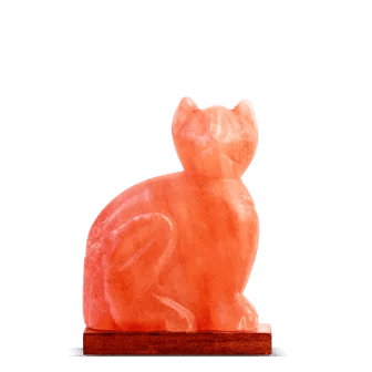 Himalayan pink salt lamp owl carved design inch