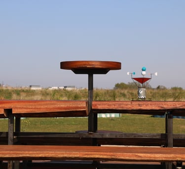 diagnostic PEMD, études, formation réemploi servi sur un plateau