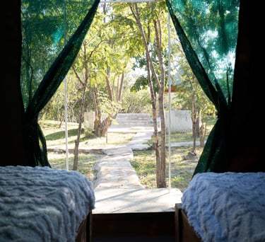 View from tent