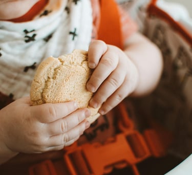 Bebé sentado en su silla alta sosteniendo con sus pequeñas manos una galleta redonda
