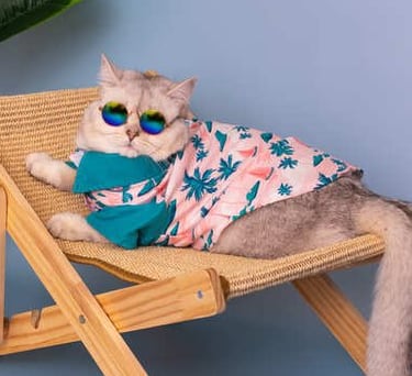 Un gato con estilo, que lleva gafas de sol y una camisa tropical, descansando en una silla de playa de madera en miniatura.