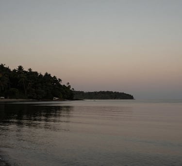 A serene coastal landscape in South America at dusk, muted colors, soft greys and taupe, reflecting an intimate and poetic atmosphere, editorial photography style.