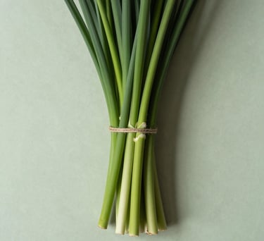 A top-down view of a neatly arranged bouquet being tied with a simple jute string on a pale green surface, clean lines and modern aesthetic, North American context.