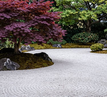 A wide-angle landscape shot of a zen meditation garden in North America, featuring a blooming purple Japanese maple and perfectly raked white gravel.