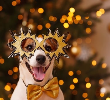 Un adorable Jack Russell Terrier que lleva gafas de fiesta en forma de estrella y un lazo dorado jun