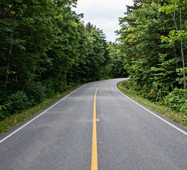 A wide-angle photography shot of a winding asphalt road through a lush North American forest during daylight, representing a safe and clear driving environment, crisp focus, natural lighting.