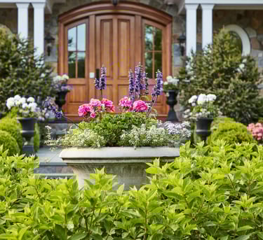 landscaping services flowers plants
