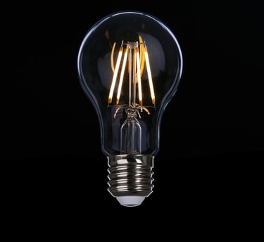 LED light bulb