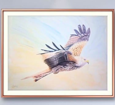 Red Kite in Flight