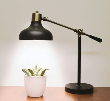 Desk lamp converted into a grow lamp