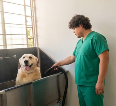 Peluquero profesional de mascotas con uniforme verde secando a un golden retriever en una bañera.