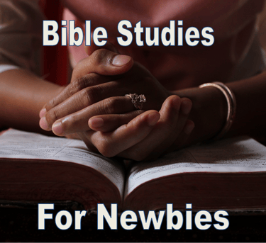 Bible Studies for Newbies - Christian Resource Library