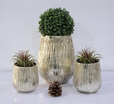 a group of three silver finish glass vases with plants in them