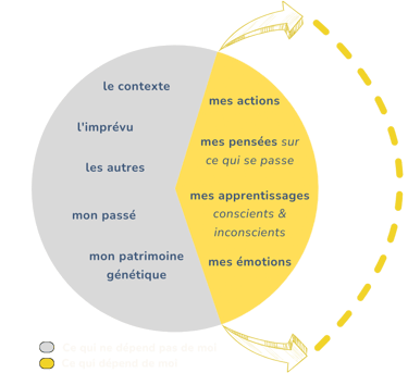 graphique divisant la responsabilité