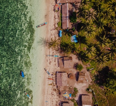 a beach with a boat and palm trees