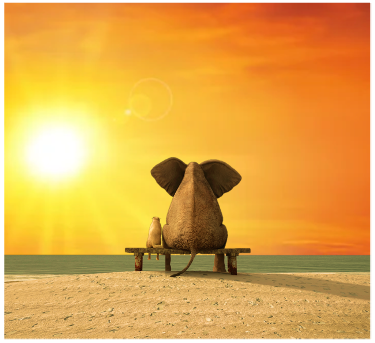 Summer relatietherapie