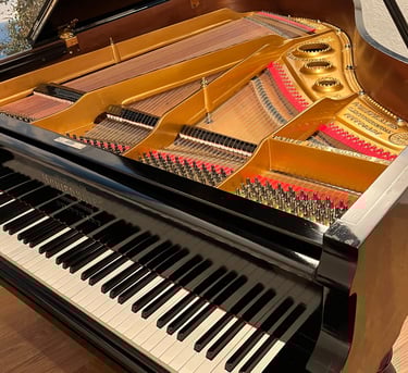 Piano à queue Schiedmayer après restauration