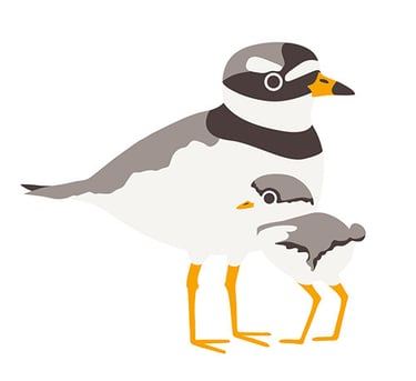 Icon from Saving Uist Nature logo