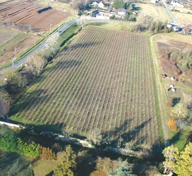 Chateau de Chanteloup, Duc de Choiseul, Pagode, Douves
