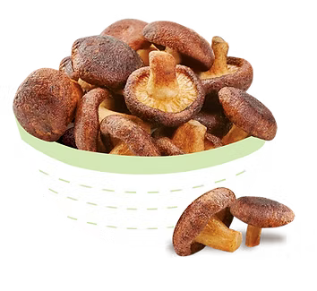 Forestly Crunchy Mushroom Chips